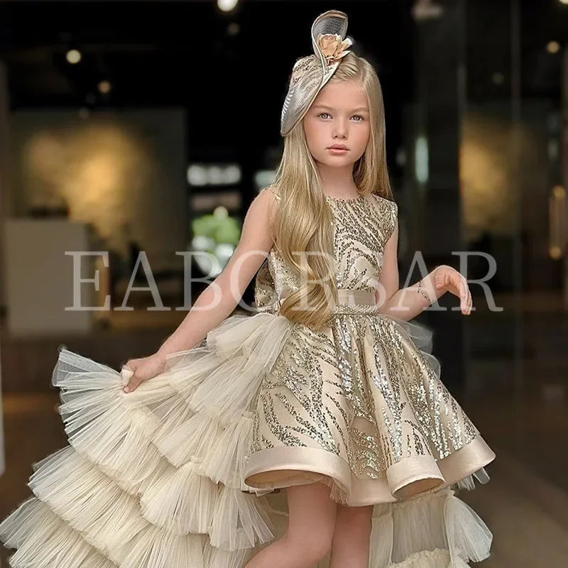 Girl's Princess Dress Cute Party Clothes for Special Events